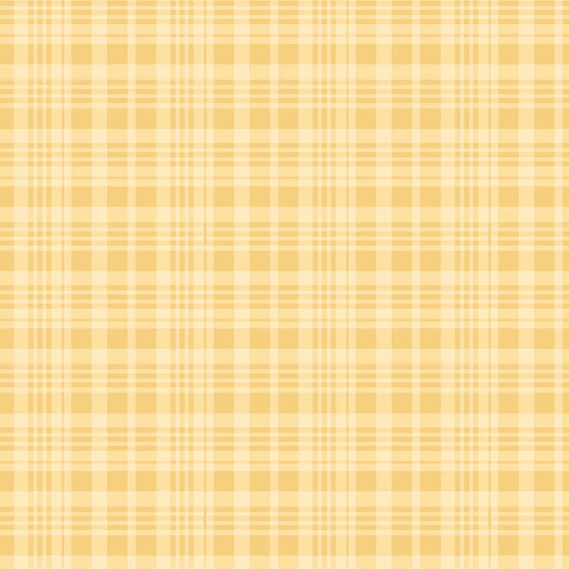 ohiostarquilts480915