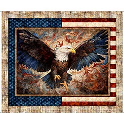 scrappygirlquilts534254