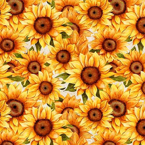 tennesseequilts527091